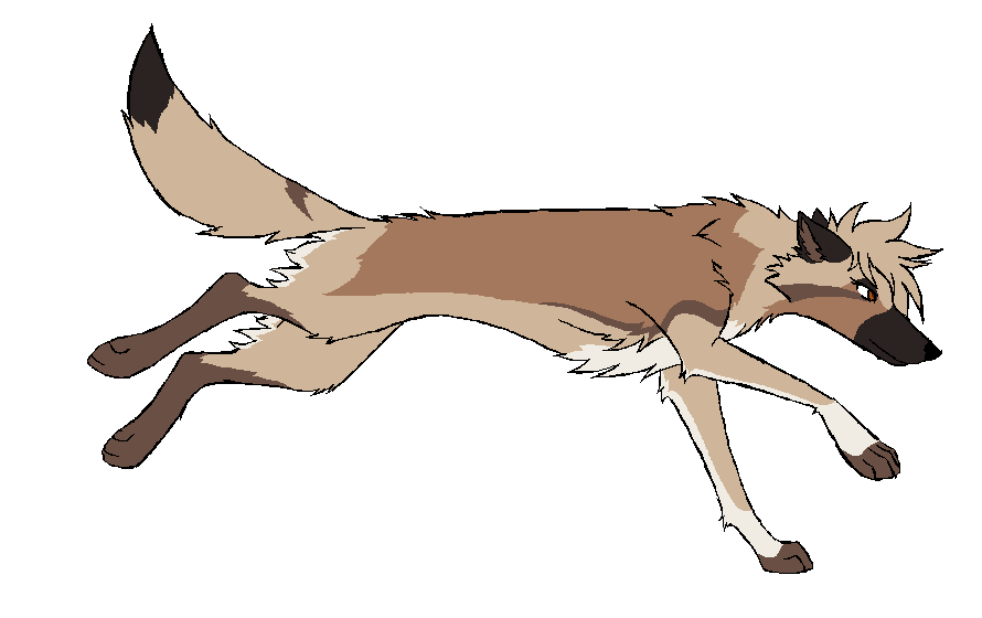 doggo